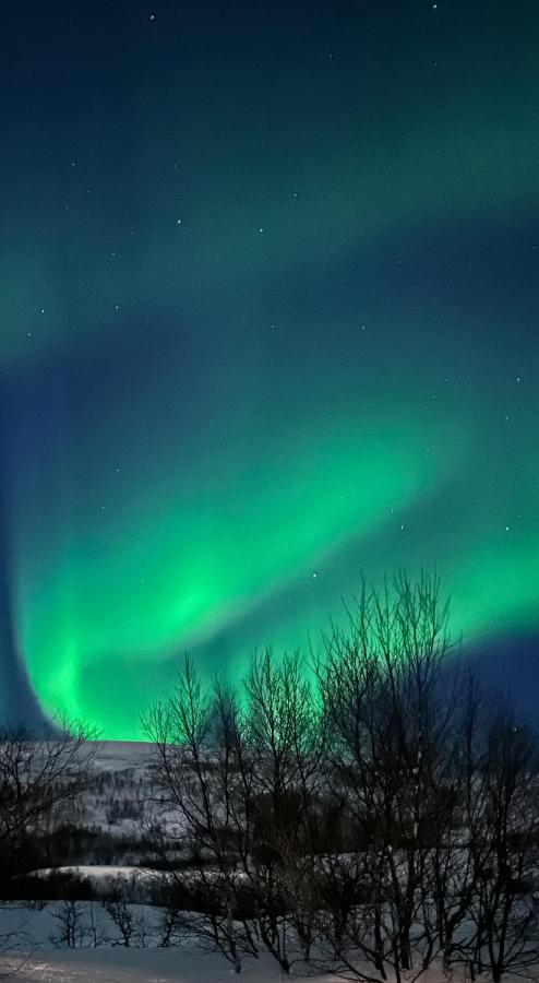 Tromsdalen Aurora Apartments Tromsø Eksteriør billede